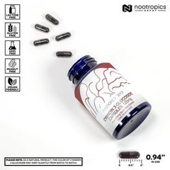 Nootropics Depot Cyanidin 3-Glucoside capsules on shelf for daily focus