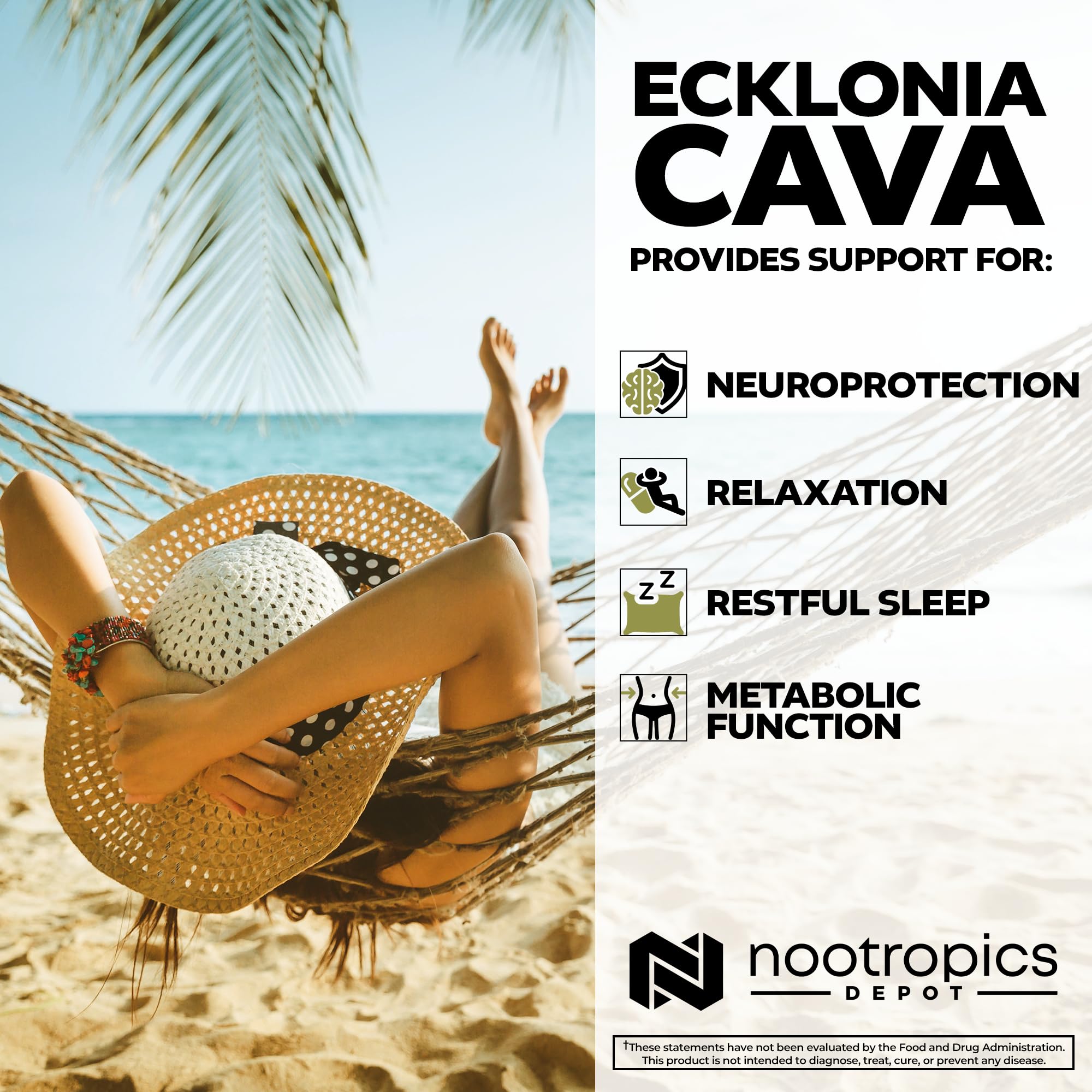 Nootropics Depot Ecklonia Cava bottle in packaging hints at daily wellness routine.