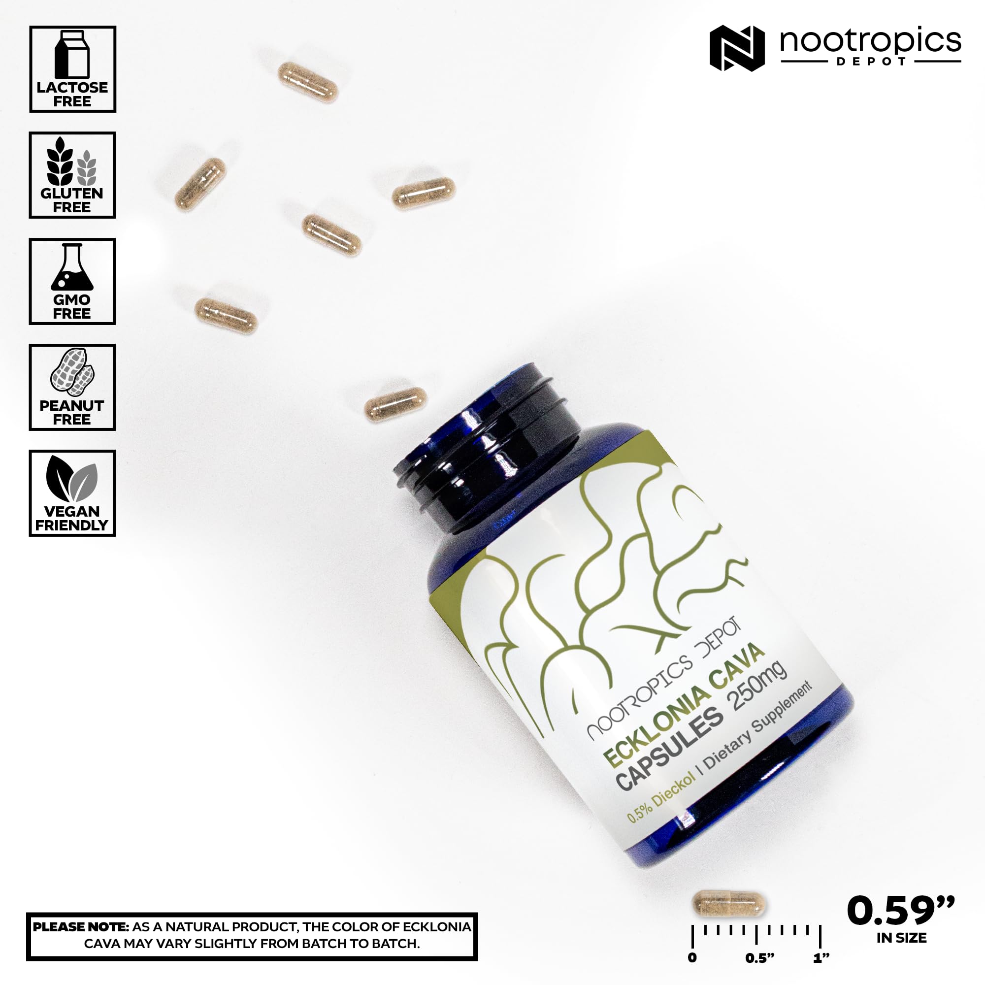 Nootropics Depot Ecklonia Cava pills close-up suggests neuroprotective antioxidant benefits.