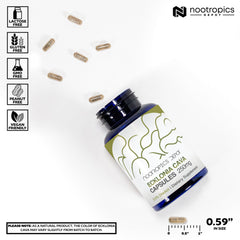 Nootropics Depot Ecklonia Cava pills close-up suggests neuroprotective antioxidant benefits.