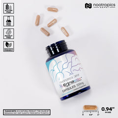 Nootropics Depot Erinamax liquid culture mycelium jar showing advanced production.