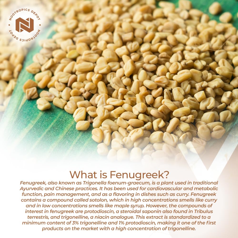 Nootropics Depot fenugreek capsules showing capsule texture