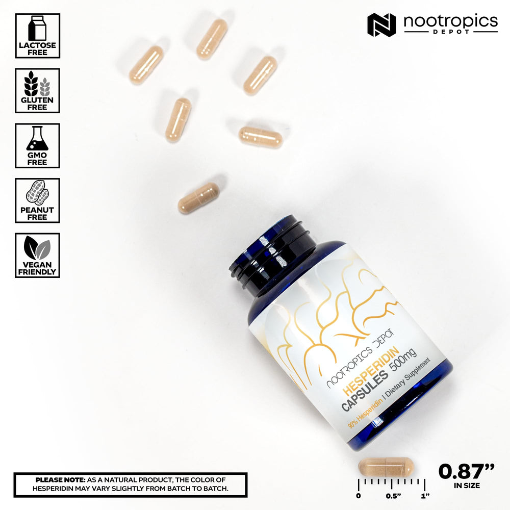 Nootropics Depot hesperidin capsules capsule close-up showing smooth texture for reliable daily use.