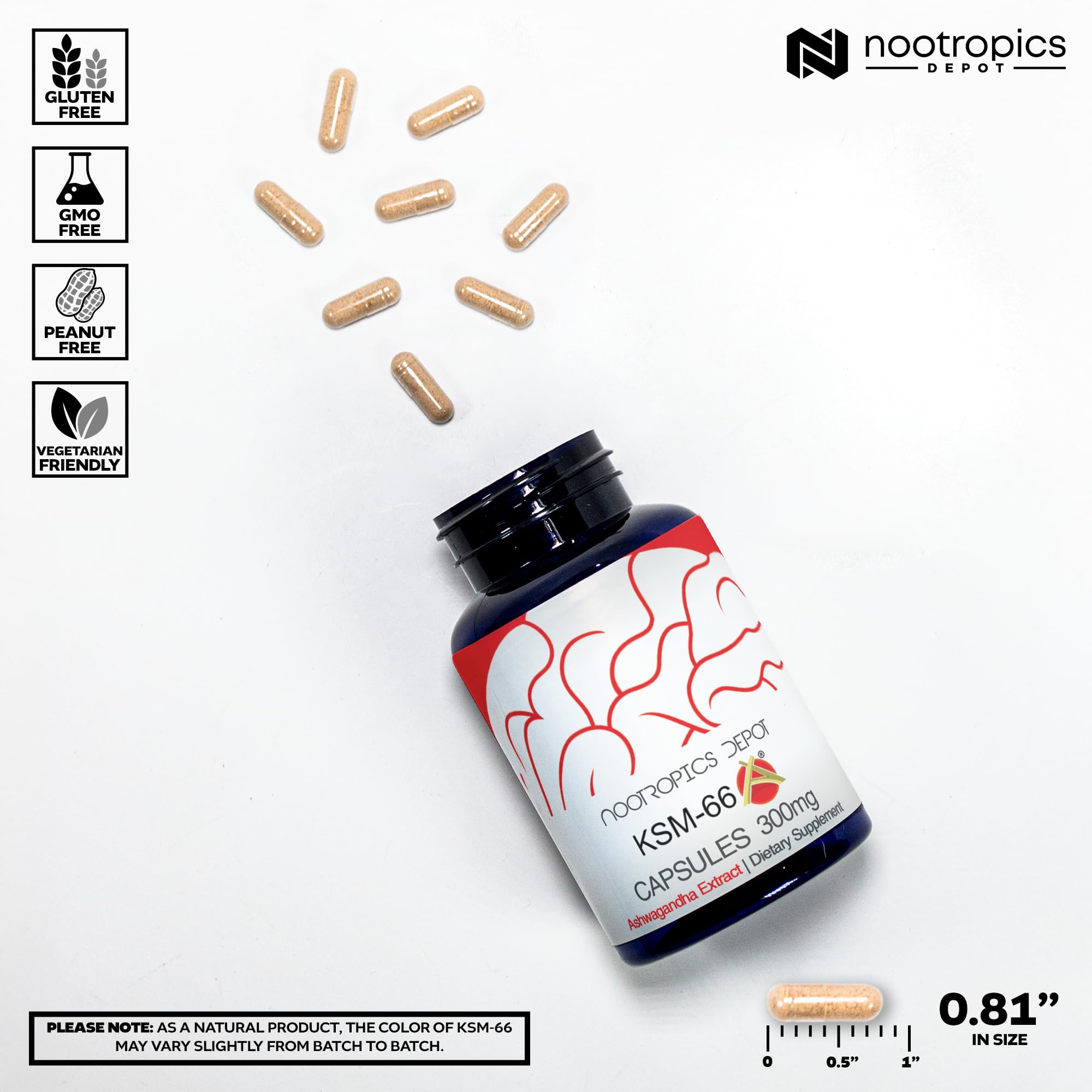 Nootropics Depot KSM-66 label close-up highlighting purity and quality.