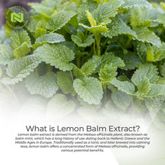 Nootropics Depot Lemon Balm Extract packaging features a 10:1 extract potency visual.