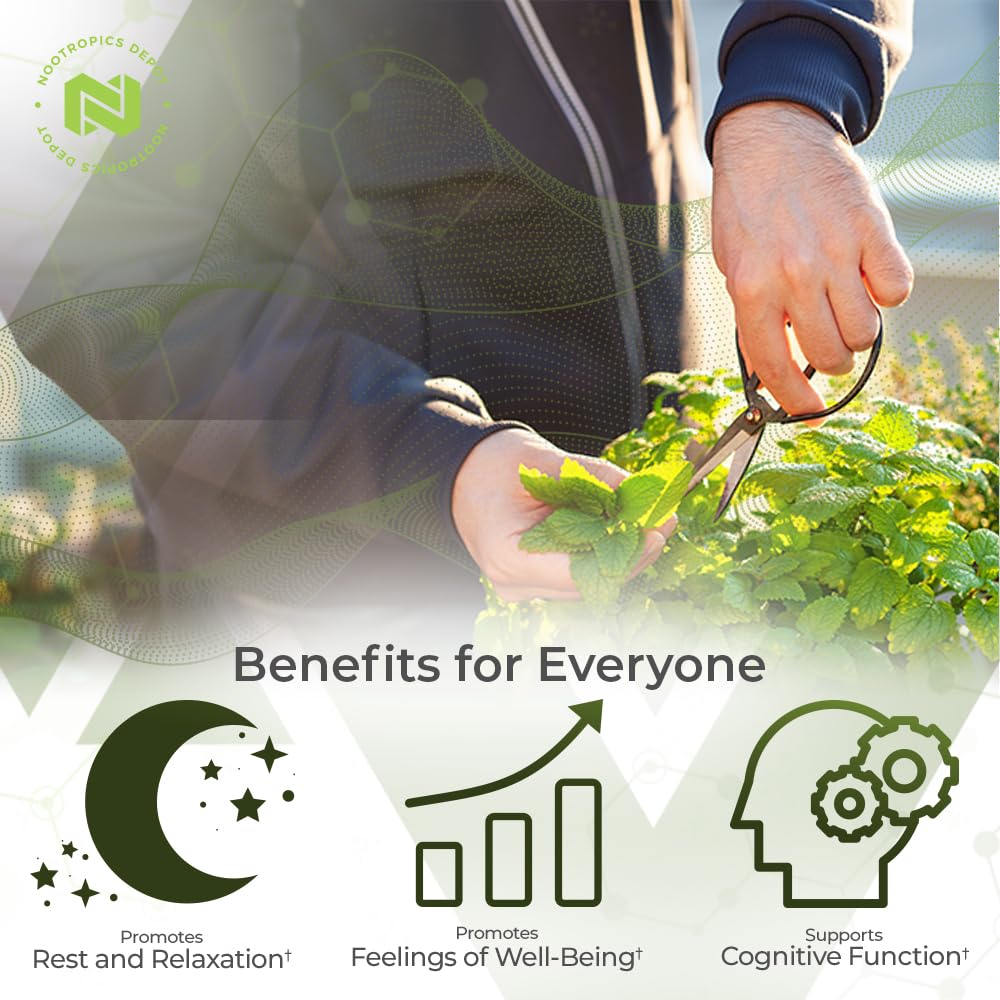 Nootropics Depot Lemon Balm Extract Tablets on a tray emphasize convenience for daily routines.