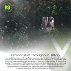 Nootropics Depot Lemon Balm Extract Tablets being poured into a glass suggests easy daily intake.