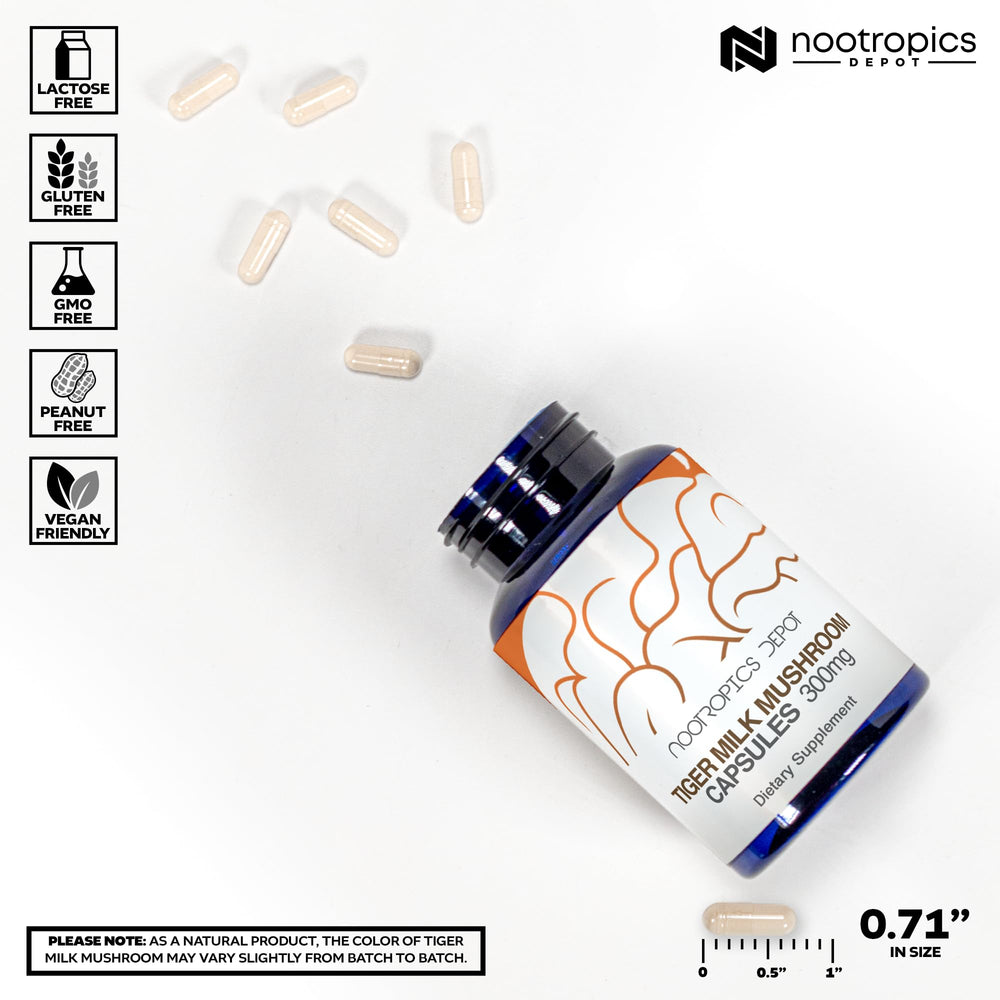 Nootropics Depot Lignosus rhinocerus sclerotium component image suggesting respiratory vitality.