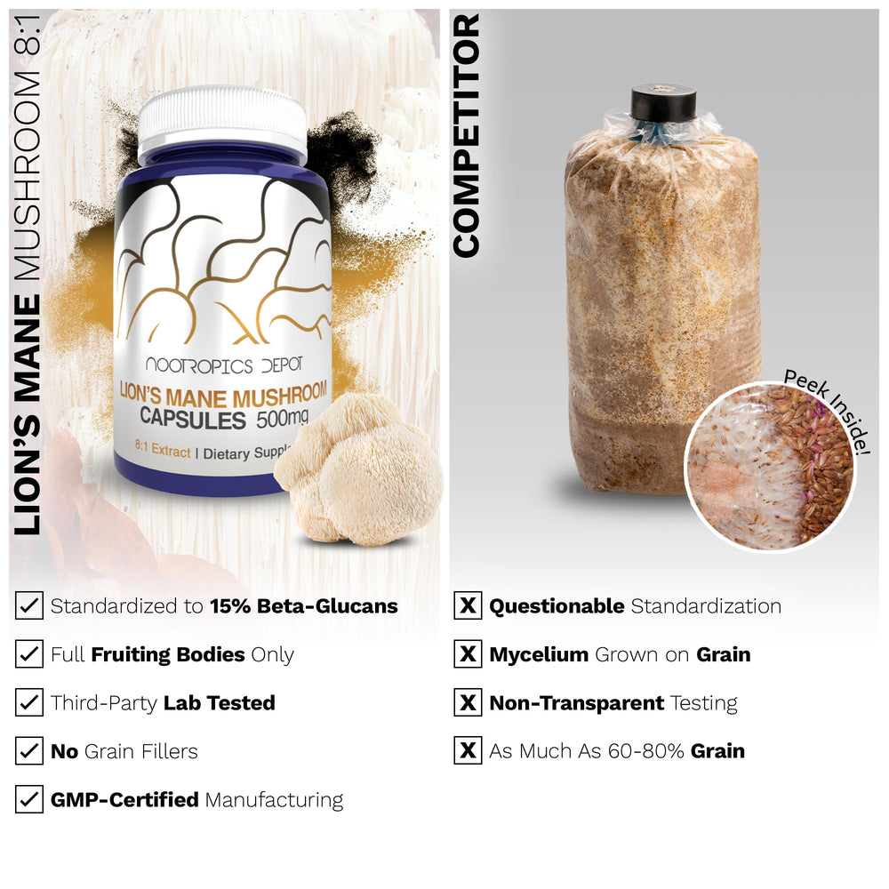 Nootropics Depot Lions Mane capsules displayed on white background