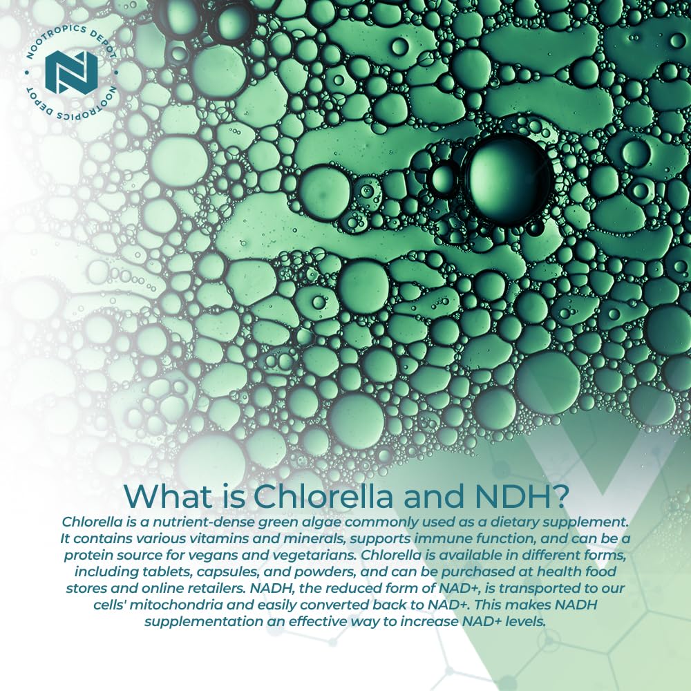 Nootropics Depot NADH chlorella capsules in hand for on-the-go energy.