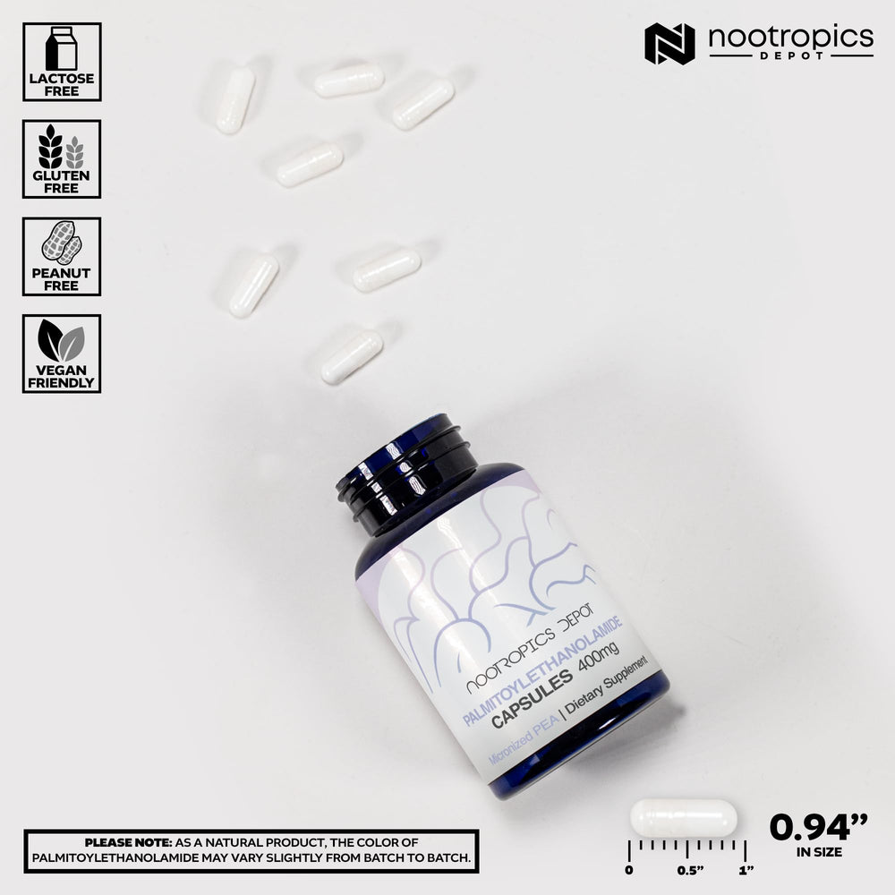 Nootropics Depot Palmitoylethanolamide bottle label, dosage and ingredients visible