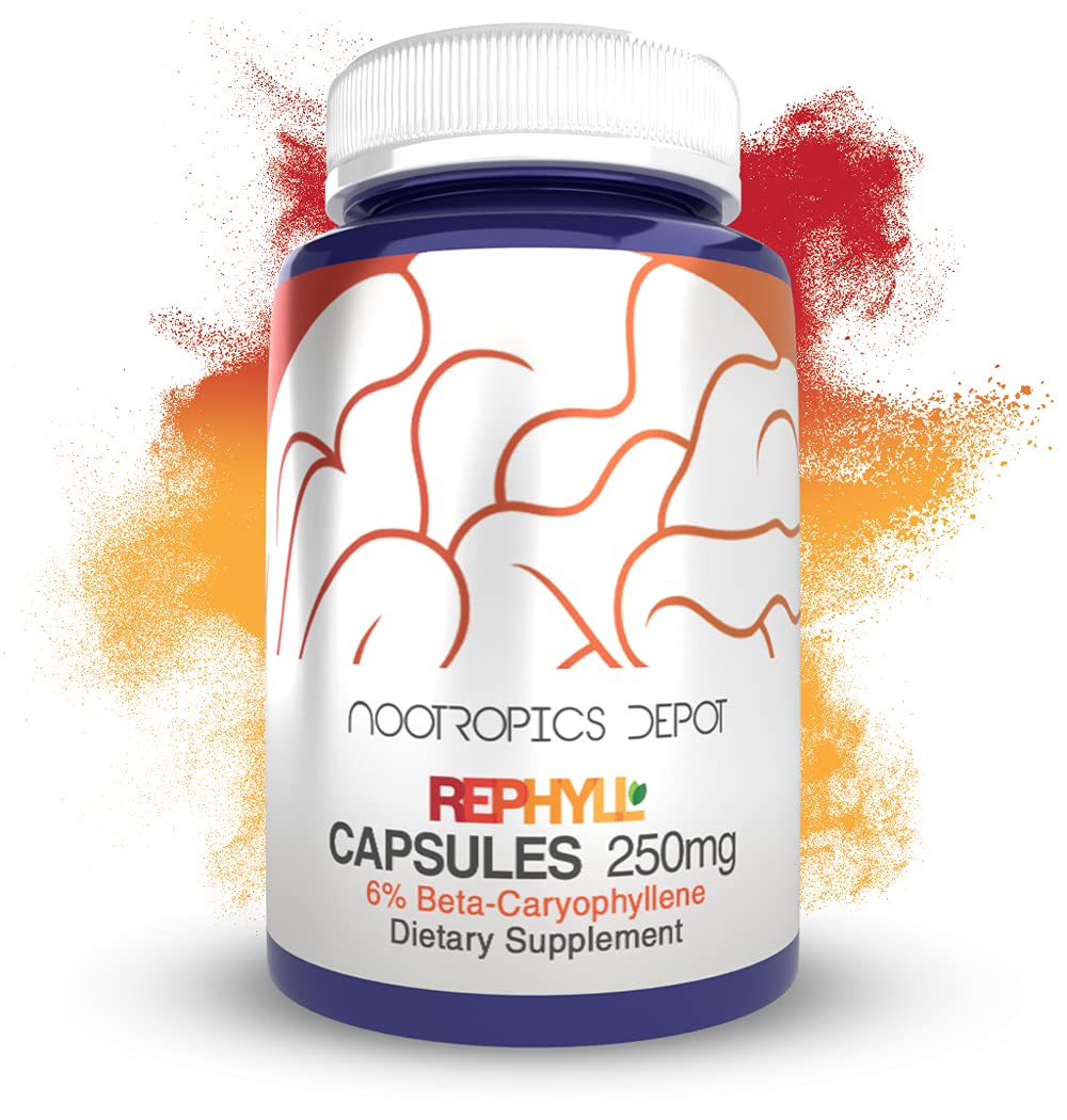 Nootropics Depot Rephyll capsules bottle front for daily use