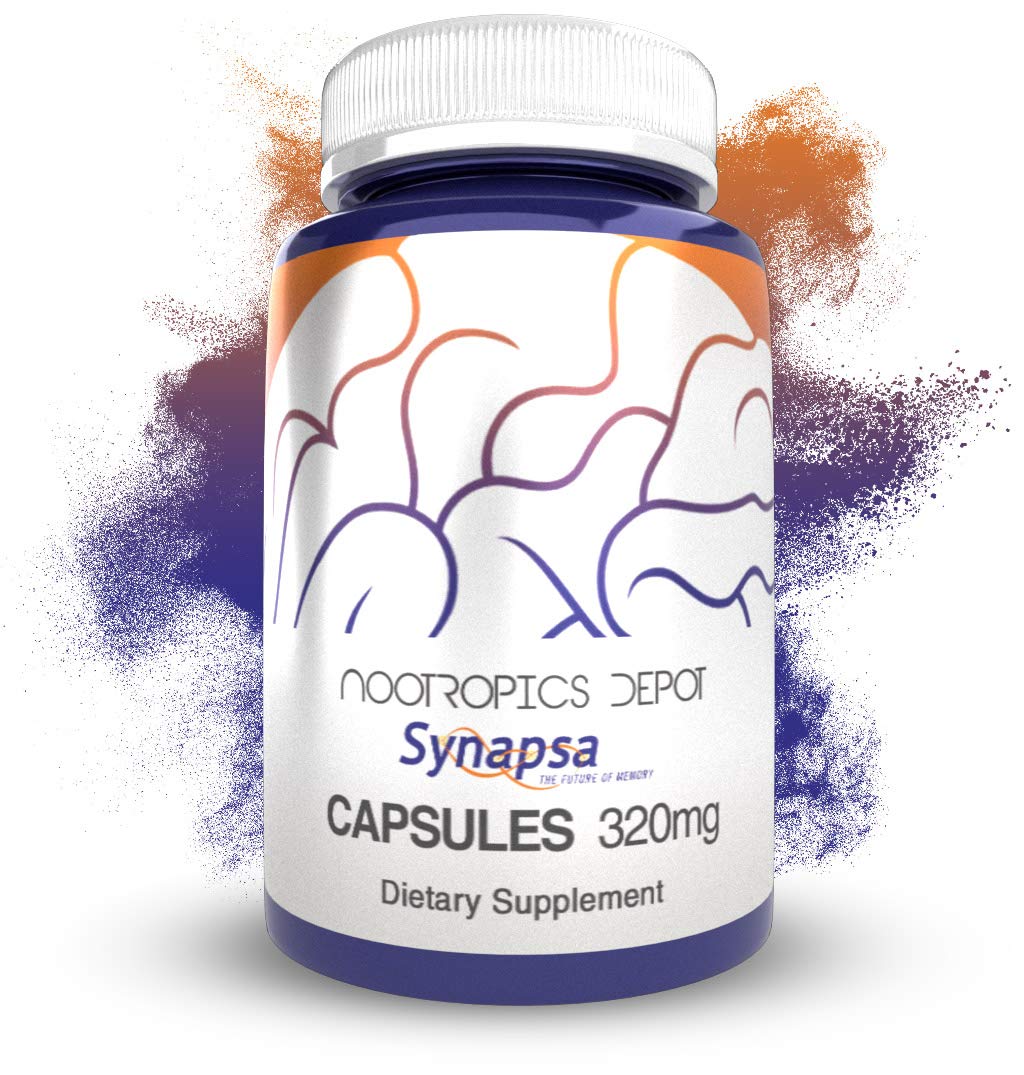 Nootropics Depot Synapsa Bacopa Monnieri capsules bottle close-up for daily study