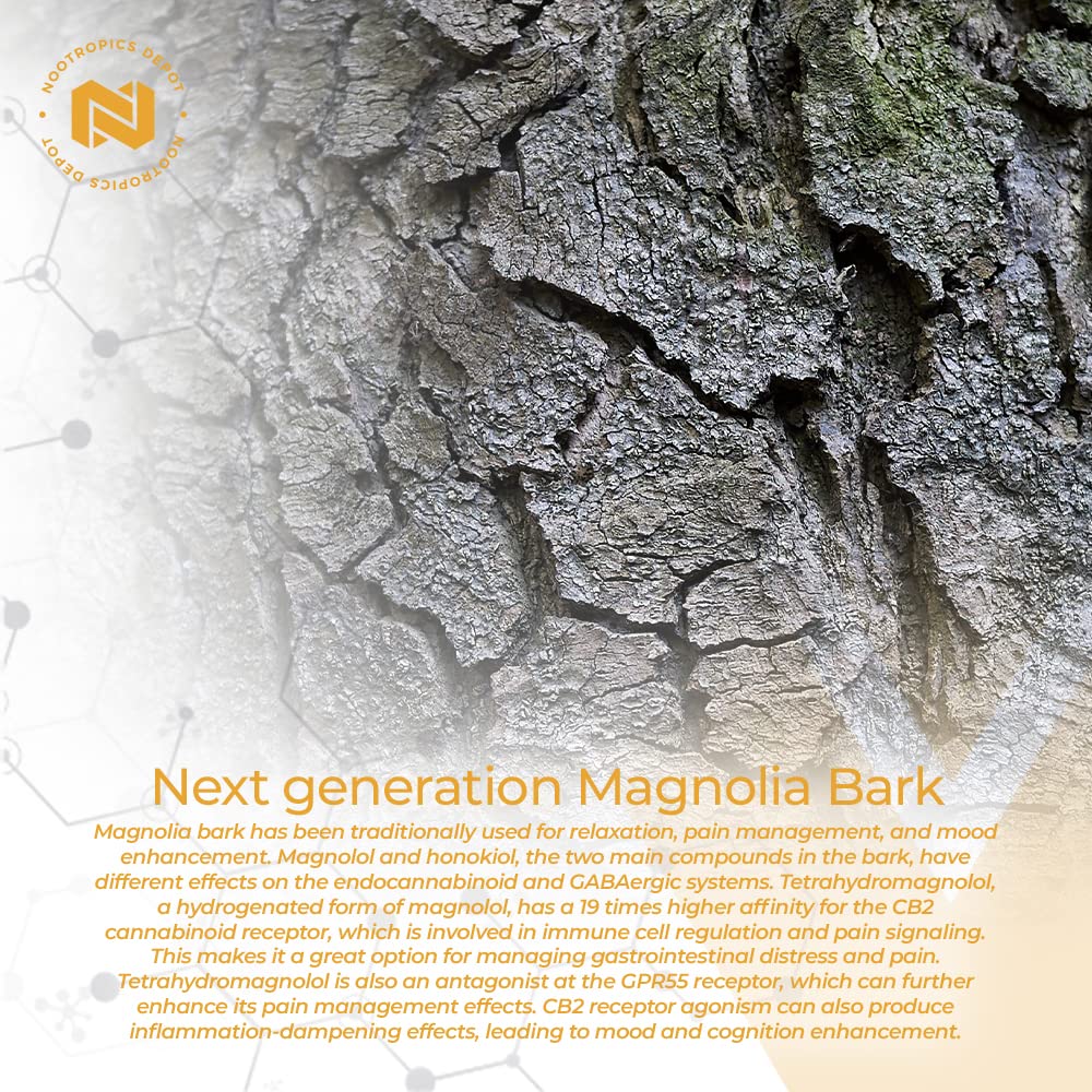 Packaging box display for Magnolia bark tablet with quick-dissolve feature