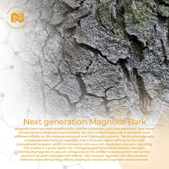 Packaging box display for Magnolia bark tablet with quick-dissolve feature