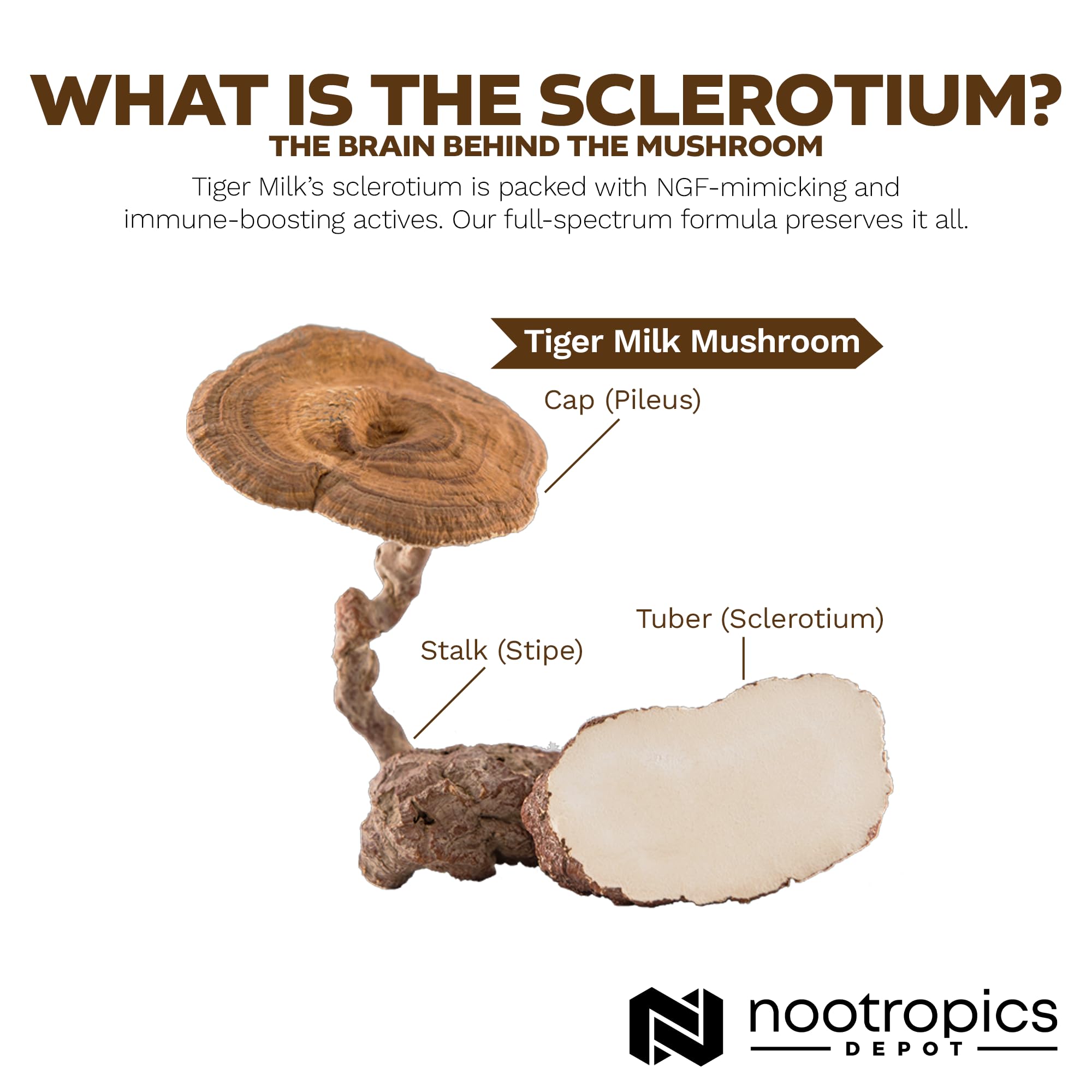 Nootropics Depot Tiger Milk Mushroom label closeup showing dosage clarity.