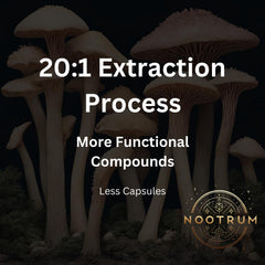 Nootrum Mushrooms capsules side view for everyday use.