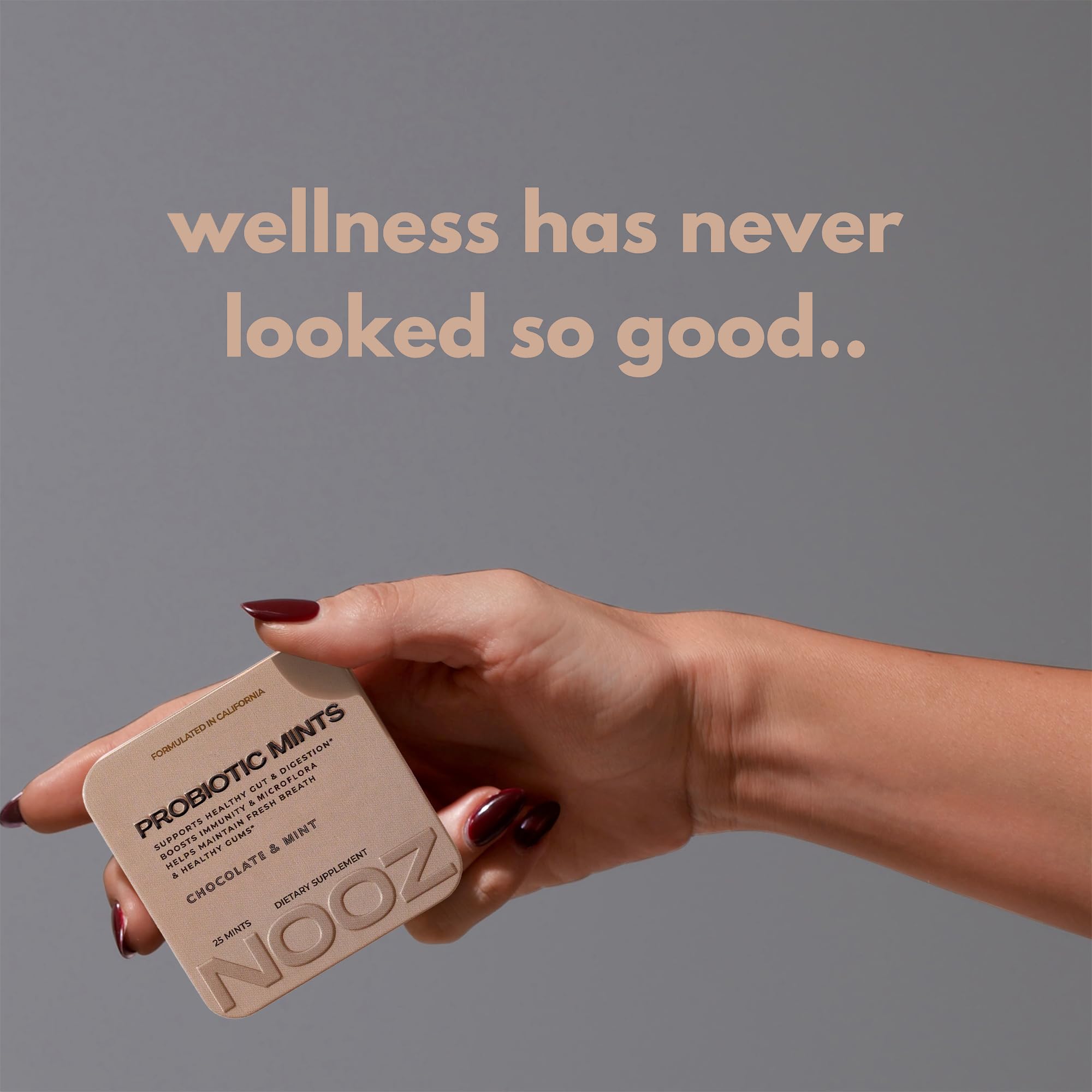NOOZ Probiotic Mints cinnamon-tin with refreshing flavor and gut balance.