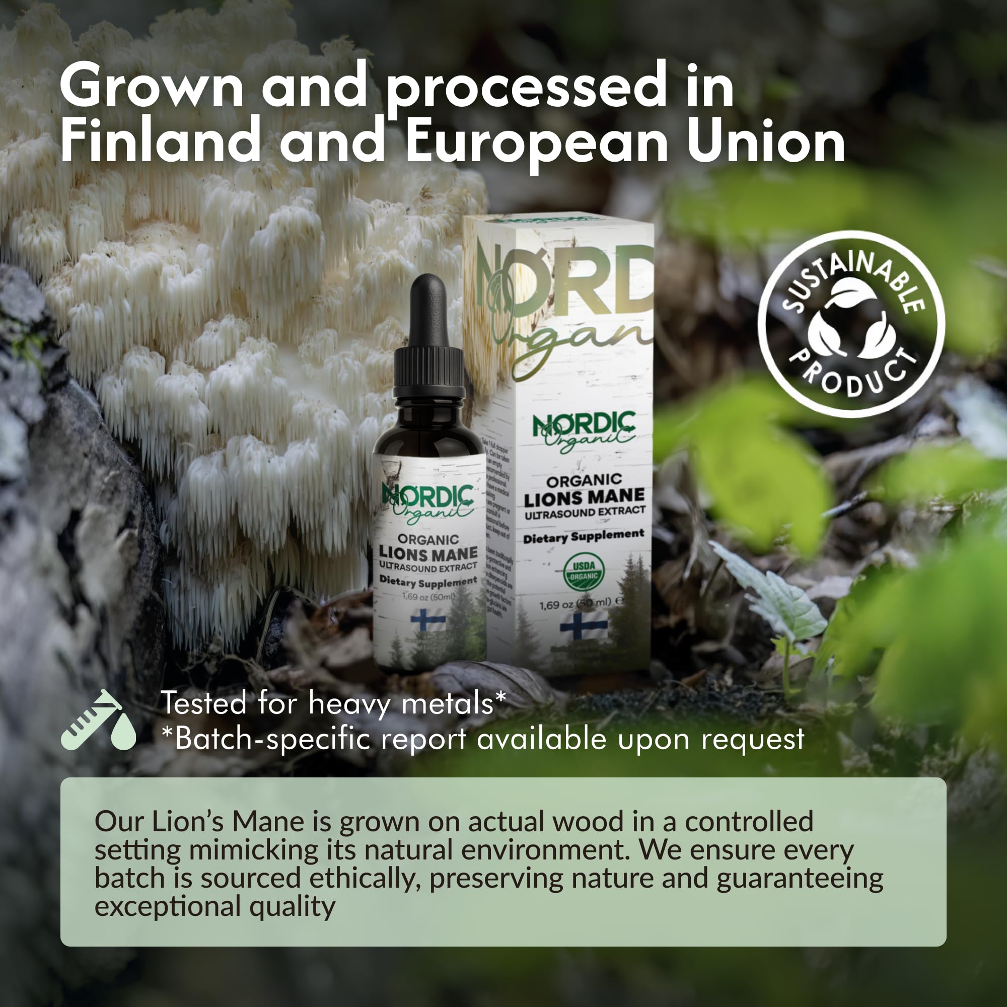 Nordic Organic Lion's Mane tincture added to tea for mindful moments.