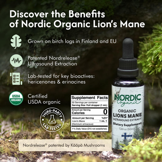 Nordic Organic Lion's Mane tincture dropper enabling precise servings for cognitive clarity.