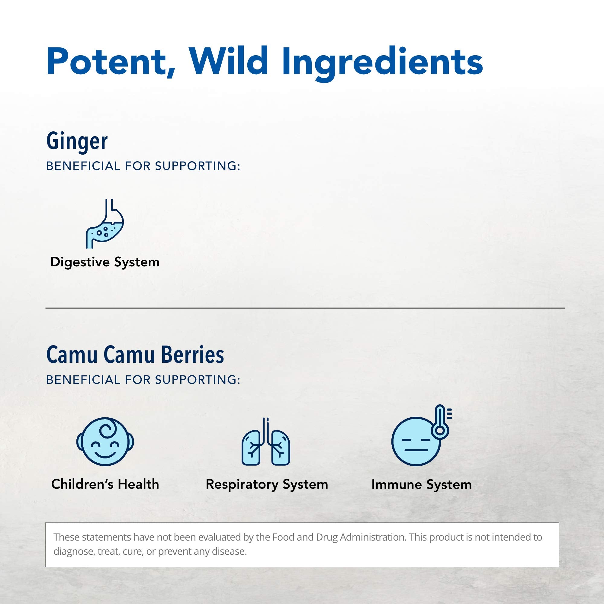 Ginger root concentrate close-up for natural joint wellness from Inflam-eeZ