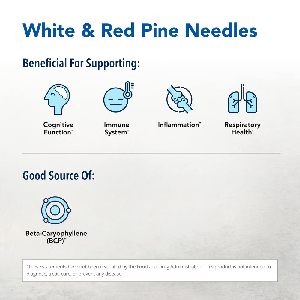 Pine Power Plus label close-up highlights raw pine and spruce extracts.