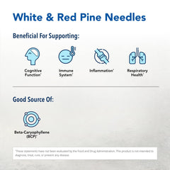 Pine Power Plus label close-up highlights raw pine and spruce extracts.