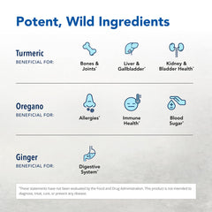 North American Herb and Spice Turmeric Power-Plus capsules close-up showing easy daily dosing.