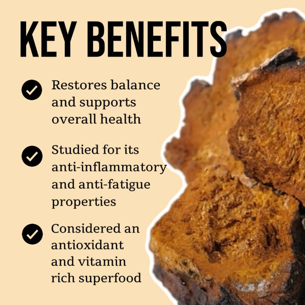 North Spore Chaga tincture label shows organic, vegan, non-GMO ingredients.