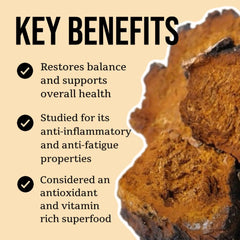 North Spore Chaga tincture label shows organic, vegan, non-GMO ingredients.