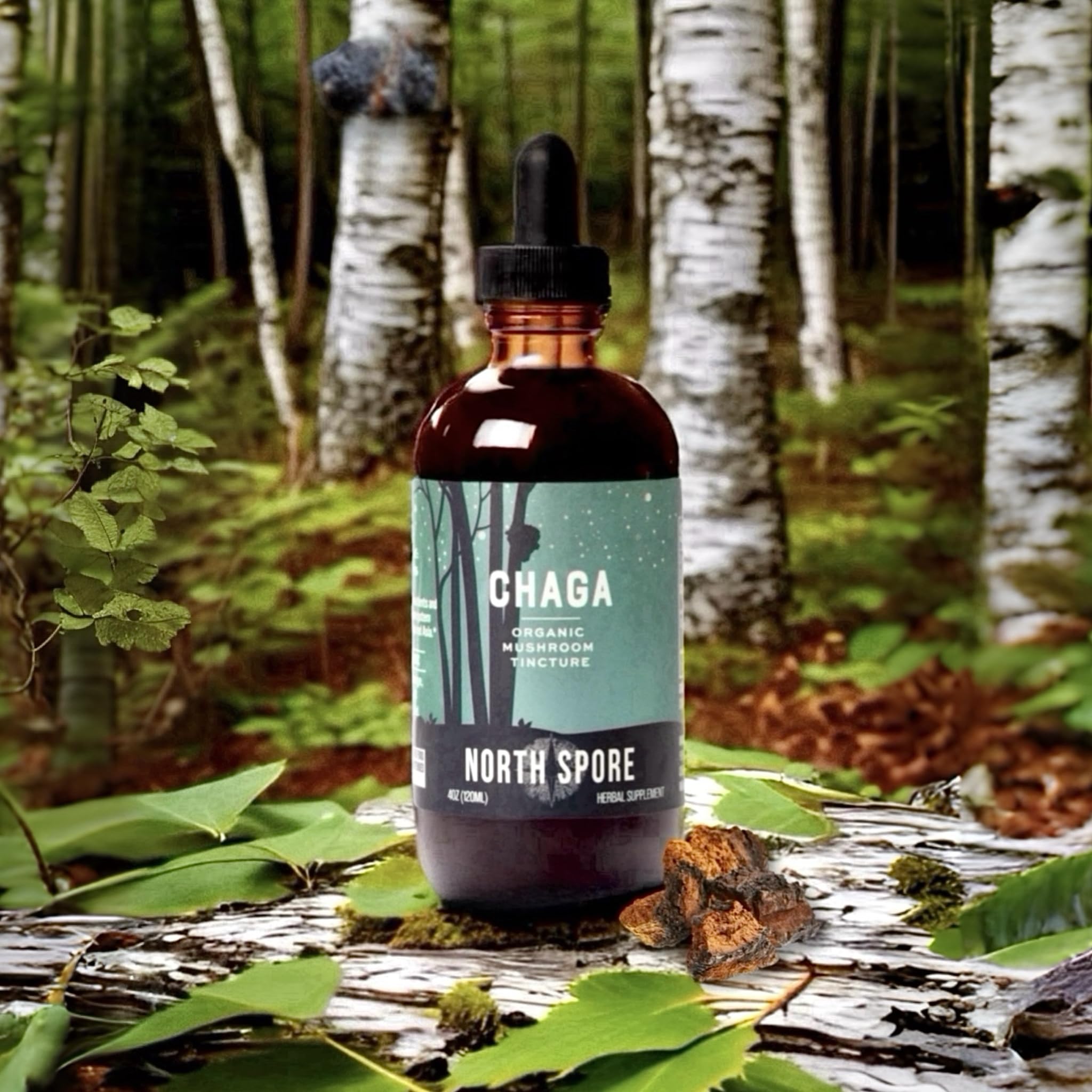 North Spore Chaga tincture serving drops over a warm beverage for convenience.