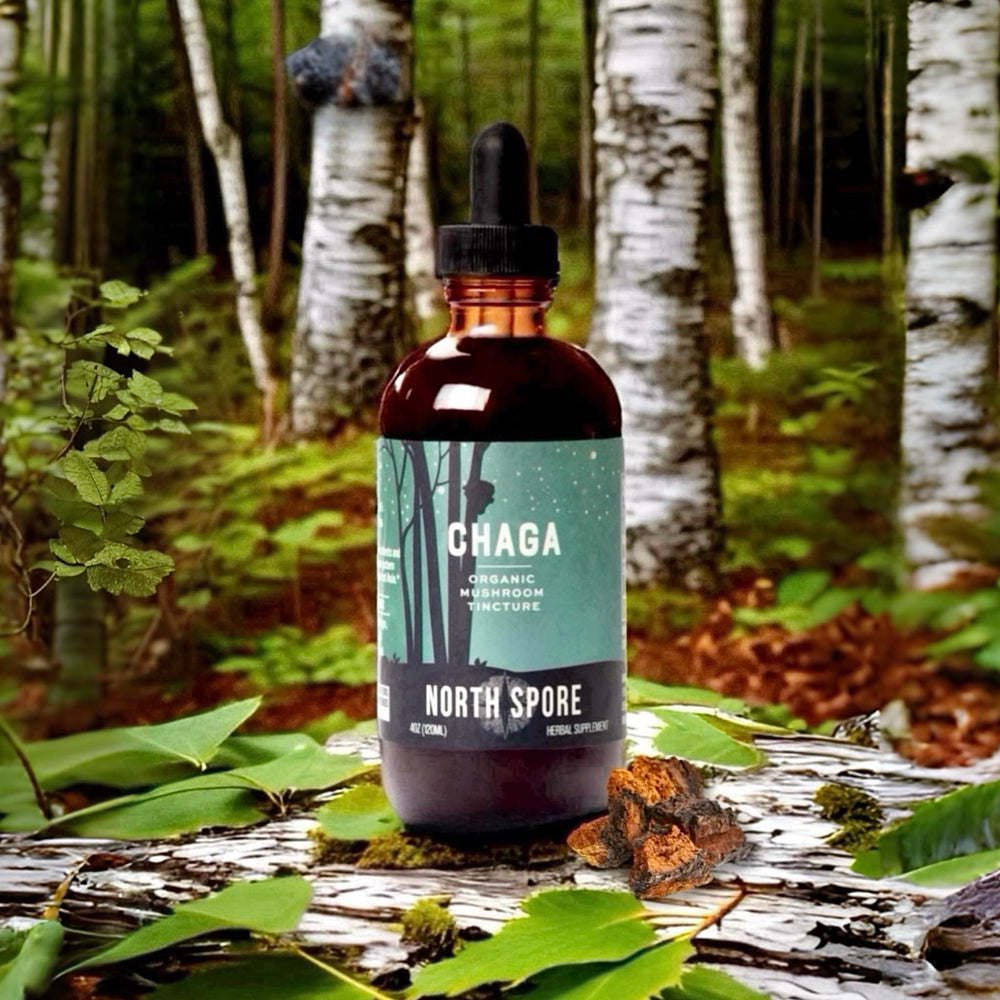 North Spore Chaga tincture serving drops over a warm beverage for convenience.