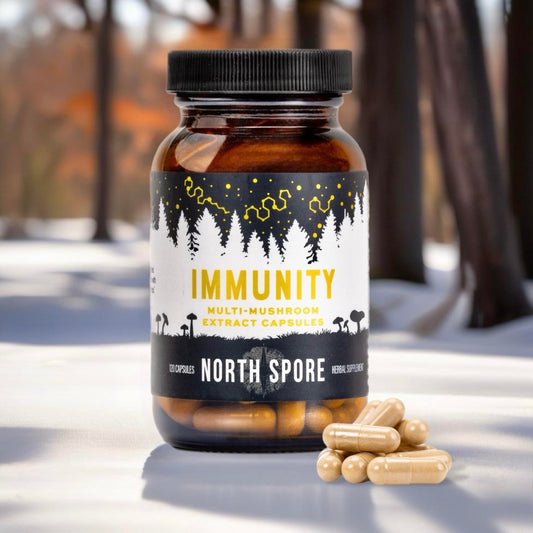 North Spore Immunity capsules closeup highlights fruiting body extracts for purity and potency.
