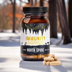 North Spore Immunity capsules closeup highlights fruiting body extracts for purity and potency.