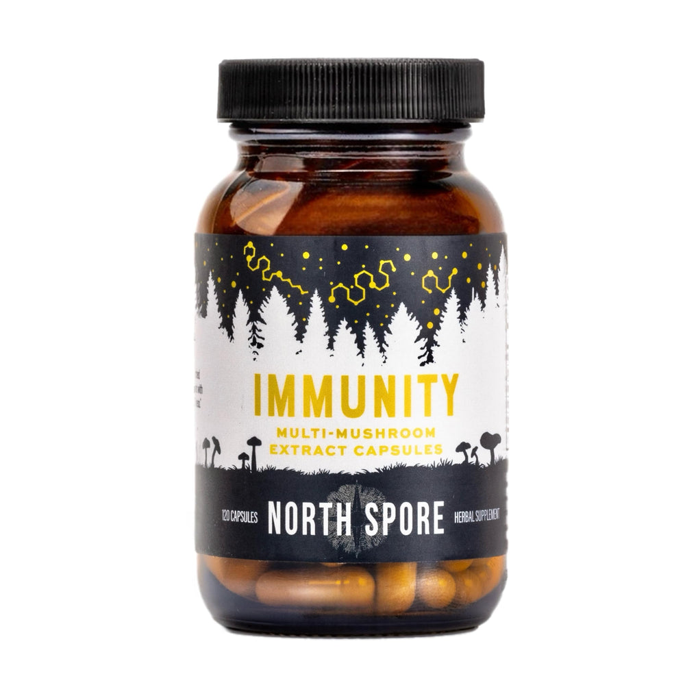 North Spore Immunity chaga piece closeup reveals natural texture.