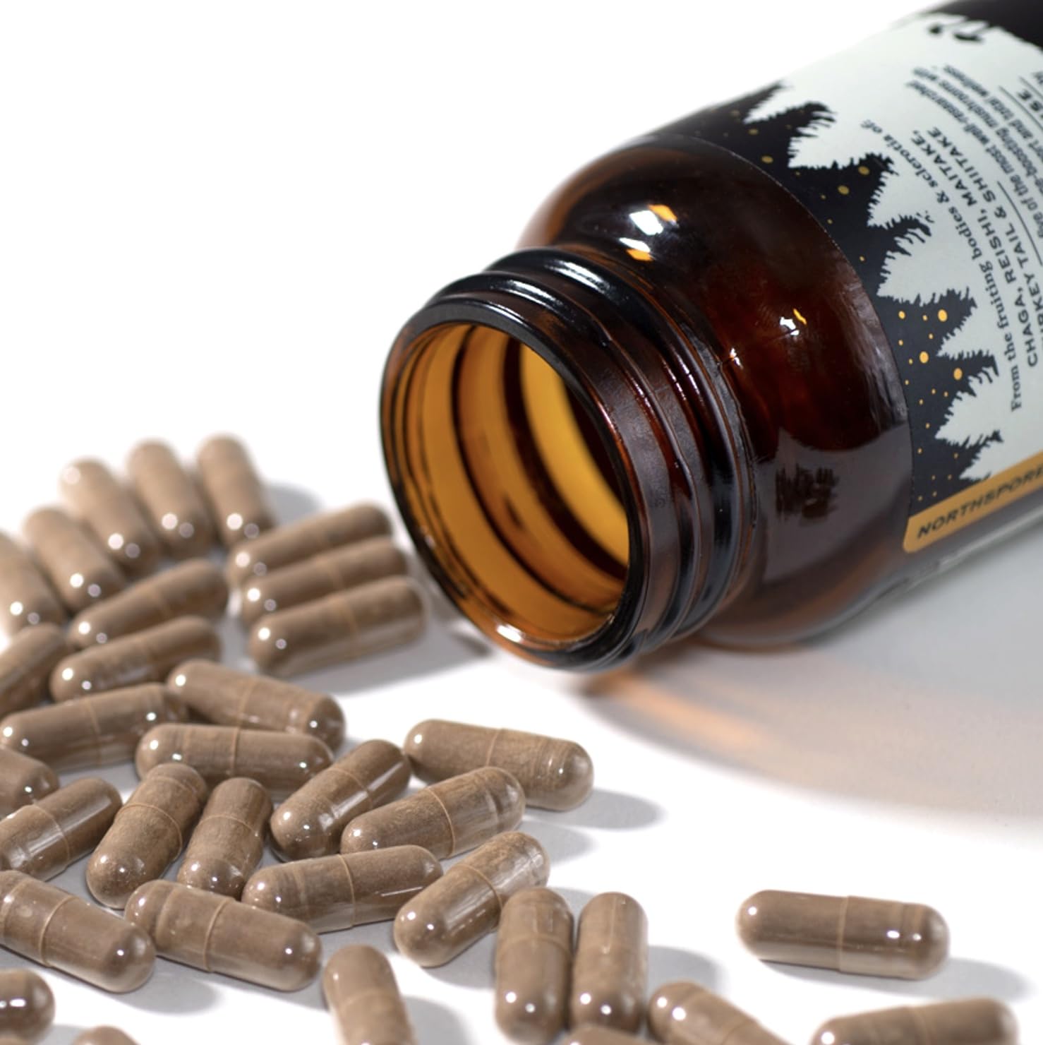 North Spore Immunity chaga mushrooms image highlighting natural antioxidants.
