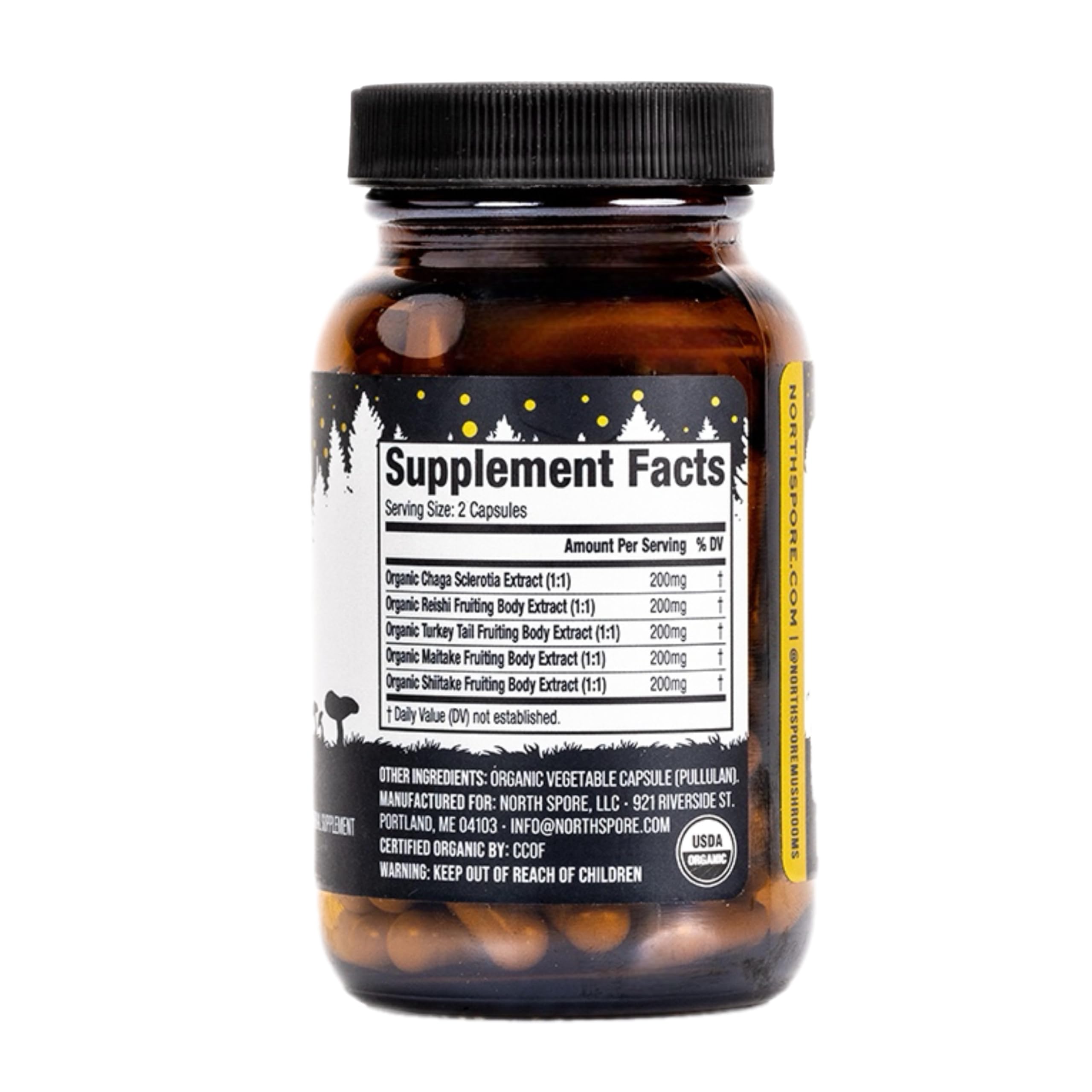 North Spore Immunity reishi cap detail suggests premium fruiting body extract quality.