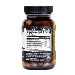 North Spore Immunity reishi cap detail suggests premium fruiting body extract quality.
