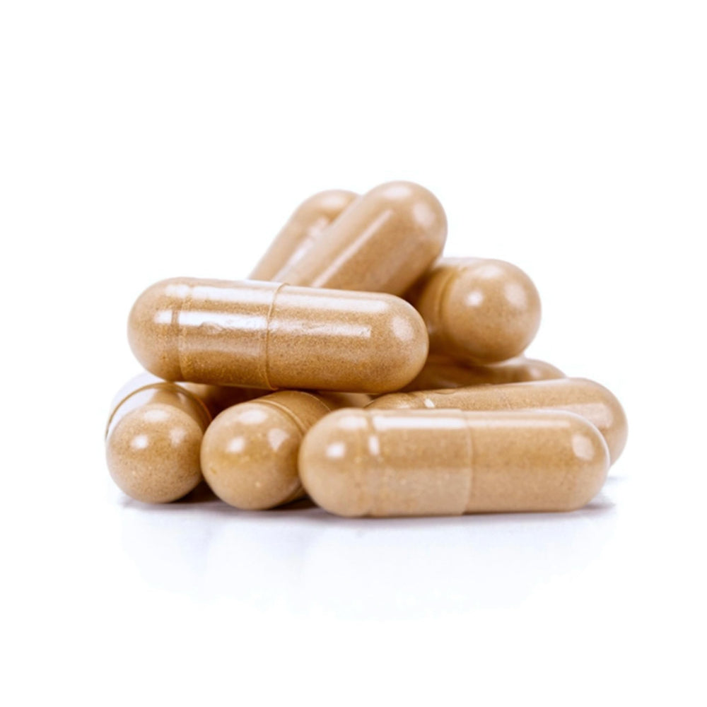 North Spore Lion's Mane 1000mg serving label emphasizes potent, bioavailable extract.