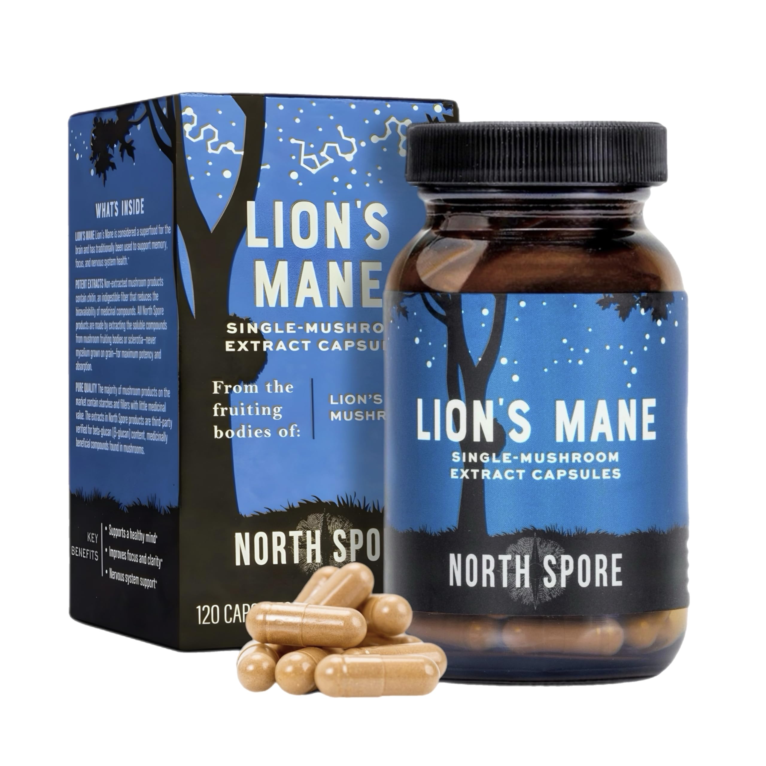 North Spore Lion's Mane extract bottle enhances focus and mental clarity for daily tasks.