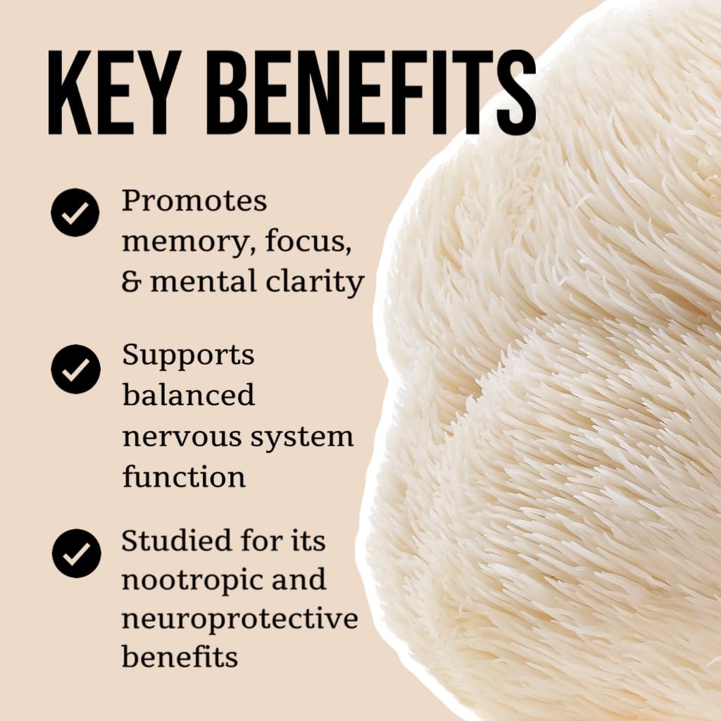 North Spore Lion's Mane fruiting bodies close-up, pure mushroom extract