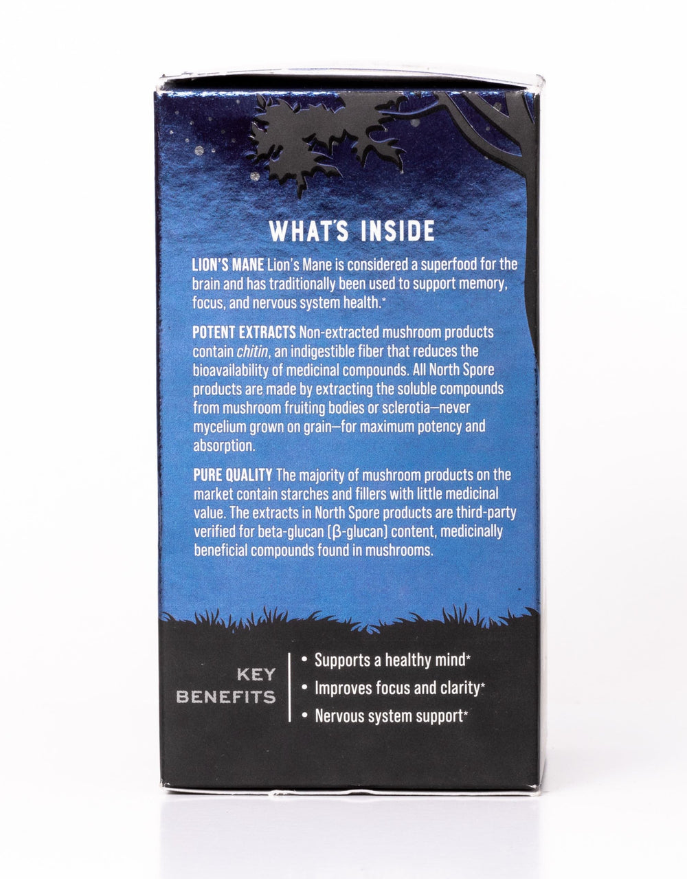 North Spore Lion's Mane morning routine setup illustrates cognitive support during work.