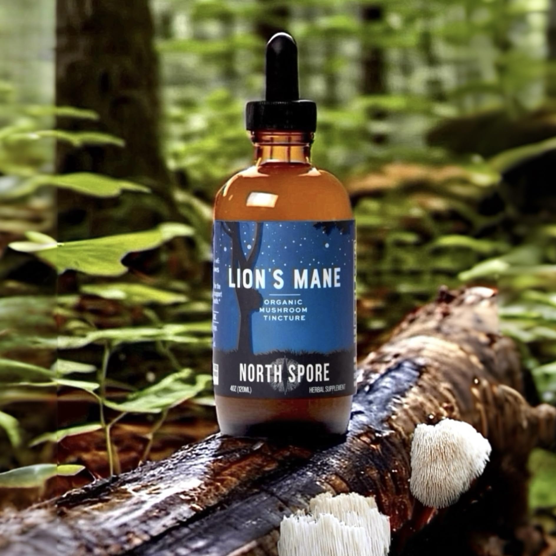 North Spore Lion's Mane tincture purity and third-party testing indicator