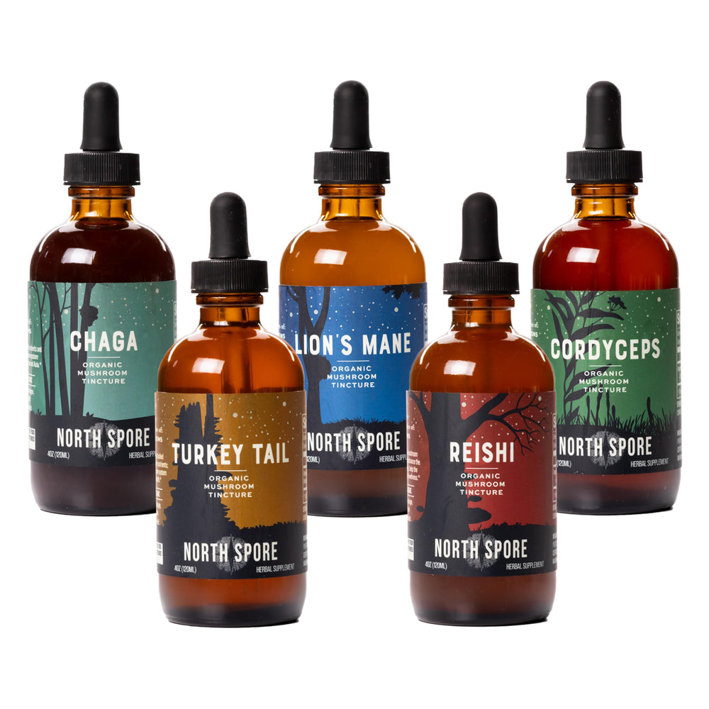 North Spore Lion’s Mane tincture bottle for daily focus and mental clarity.