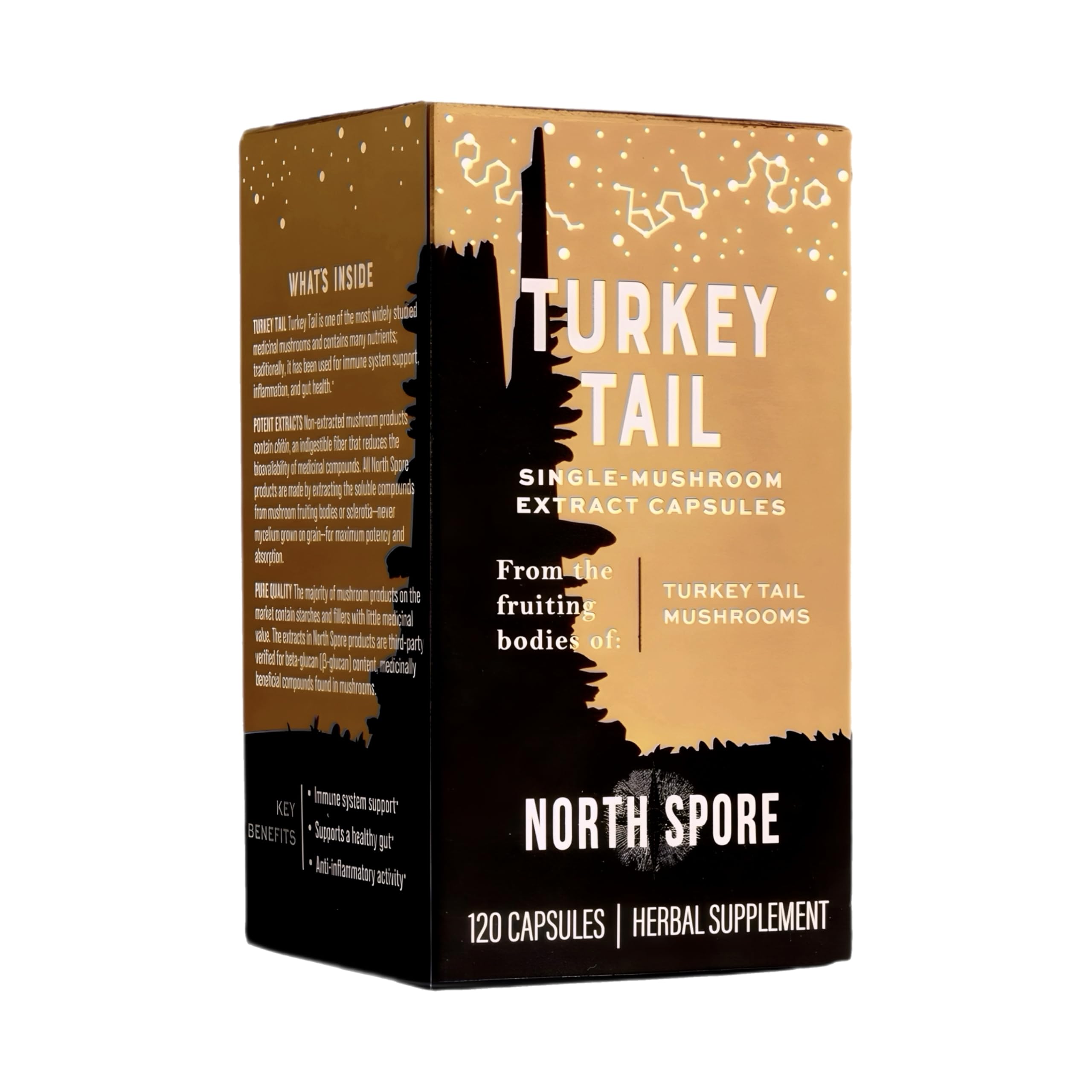 North Spore organic turkey tail mushrooms source and purity for trusted daily use
