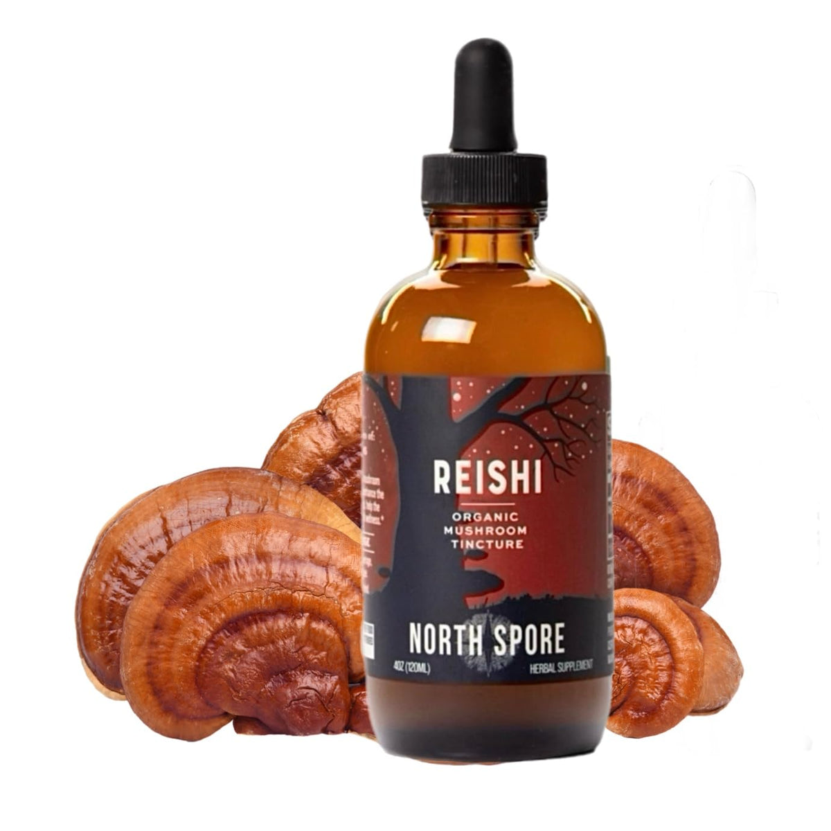 North Spore Reishi tincture bottle shown for daily wellness.