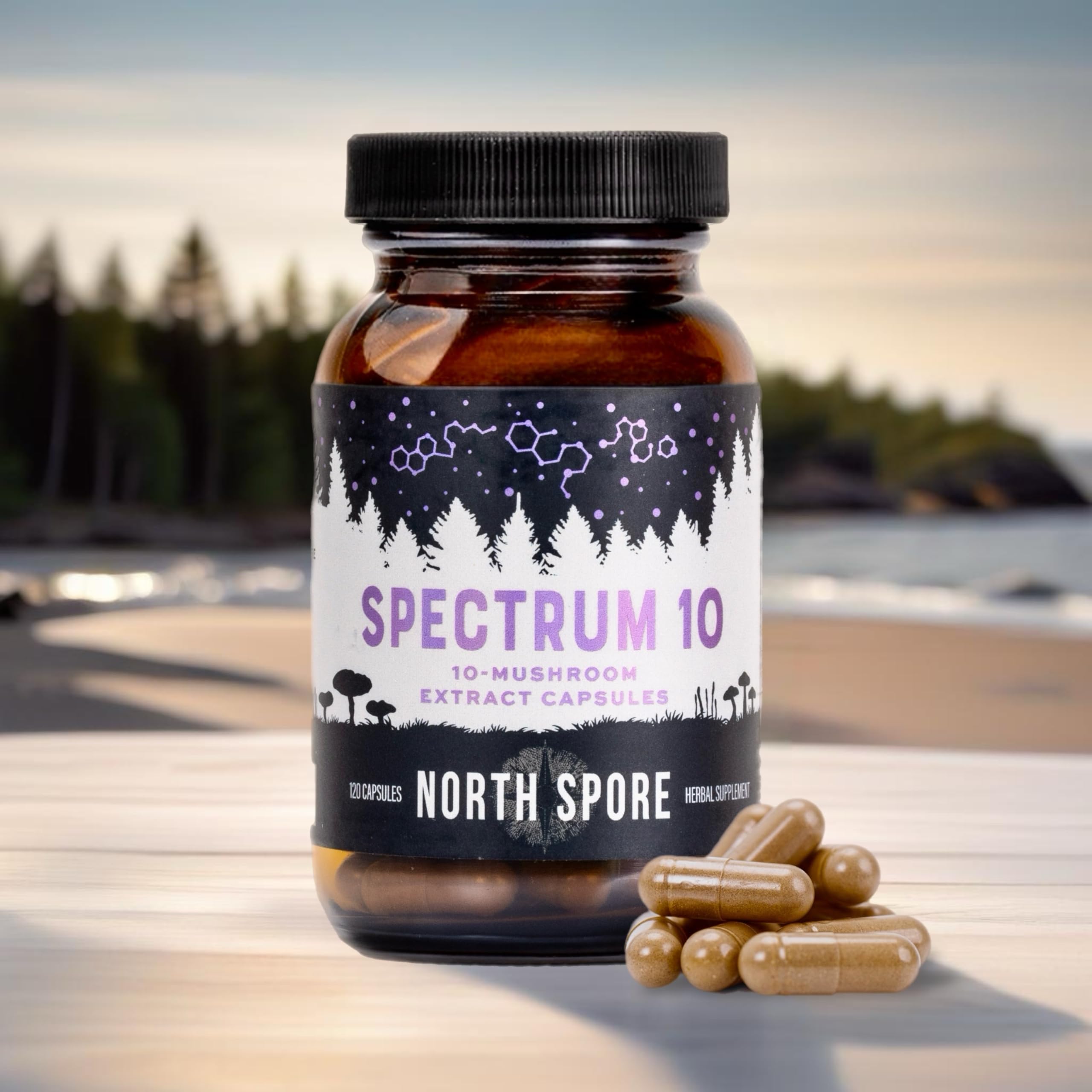 North Spore Spectrum 10 capsules label highlighting organic, multi-mushroom blend.