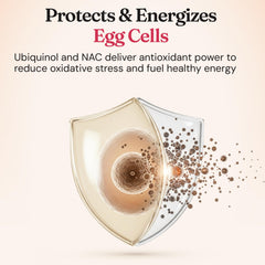 Myo-Inositol and D-Chiro Inositol 40:1 ratio visual for CycleBloom.