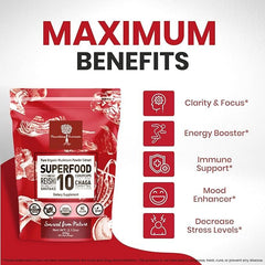 Nourishing Nutrients 10-mushroom blend powder poured into a mug