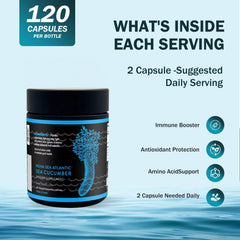 Nova Sea Atlantic packaging highlighting wild-caught origin from the North Atlantic